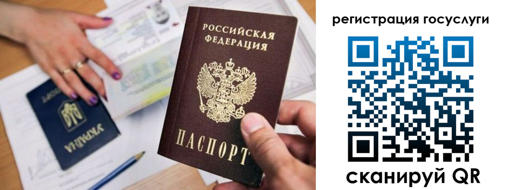 прописка иностранных граждан в Палласовке